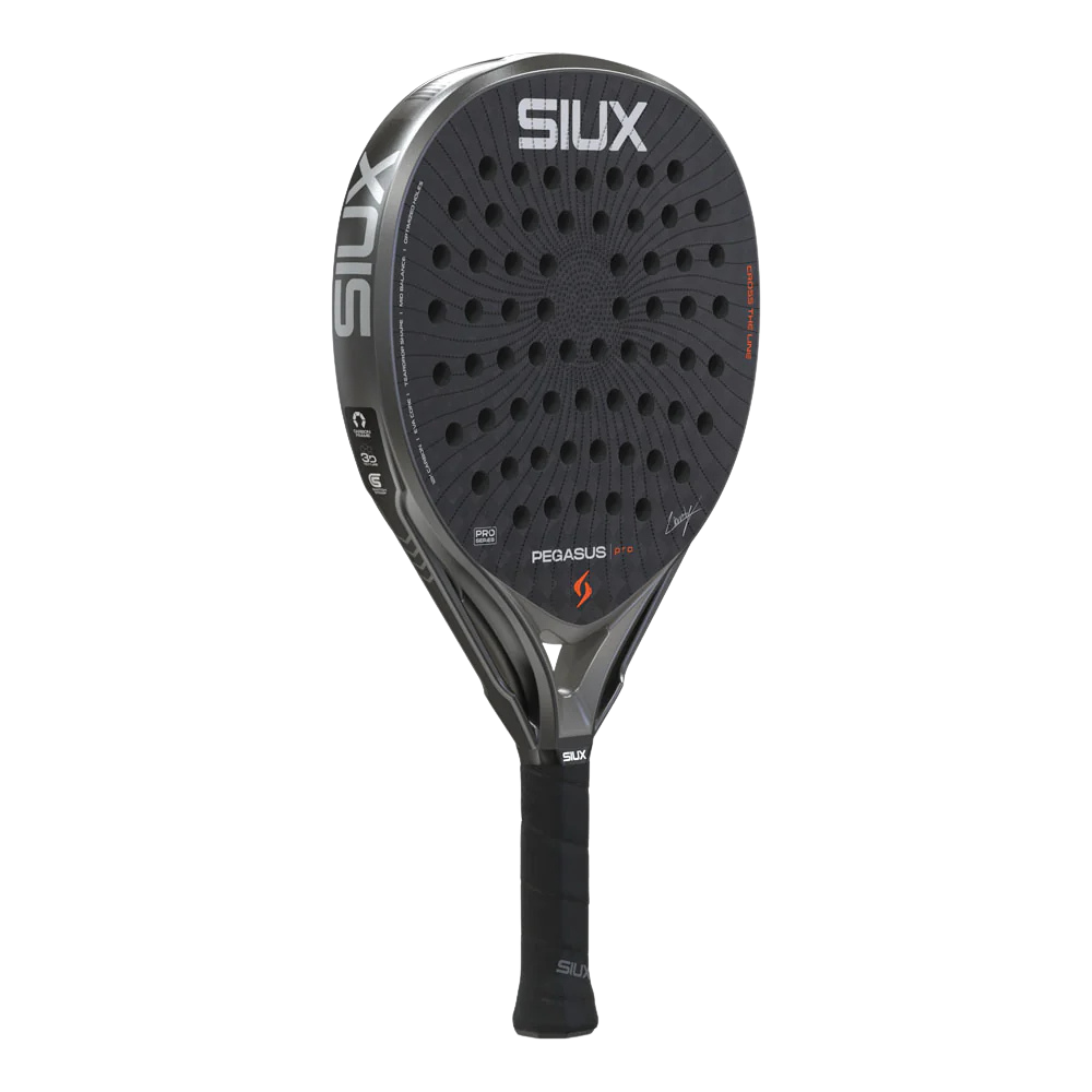 SIUX PEGASUS PRO 2026 STORM GREY